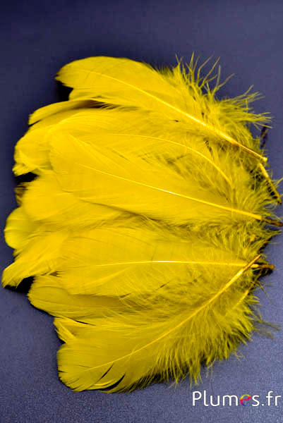 Oca - 11–15 cm - giallo-oliva  